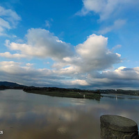 û˼ĶʮȫʮĶ󣬶ٹŹ־Ͳѵ