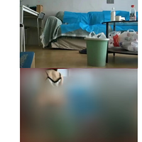 Ժۿ͵鱻ְͣȴΪ顭