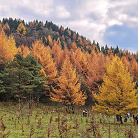 ഺûۼۣͳͳſ¡ᶼɽͽ