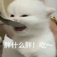 1120ֵů30Ƭ13.9 ʳ˱Ƿ525.5