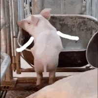 1121ֵů30Ƭ13.9ذճ33