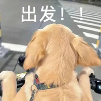 1124ֵ򡿿ز13.7ɫİѩѥ16.3