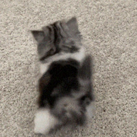 1127ֵ򡿽䴿ţ1228.9ʯīϩȡů179