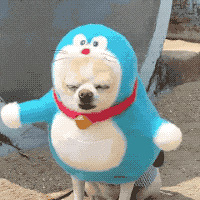 1128ֵ򡿰·ʿ˫T249ɽ޵ڿ335