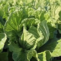 9ëһﵽ155Ԫһţסưײˡ۱ǵ