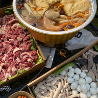 ��������ԭ���