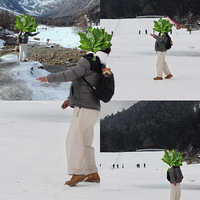 �ߣ���ס��ȫ����2026��Ԫ��ȥ���ڶ����컨����﹵