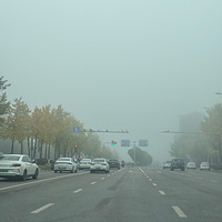 �������ݶ��������������