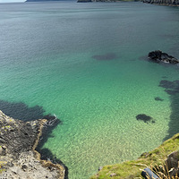 Belfastķhedges.dark