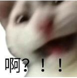 ˶ȥг·ˣȥһˣ˭˵ֱ