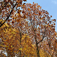 ĶǹȥһΰһΣ̫ͩ˰