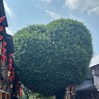 ҲҪº-ƽ̶-Ȫ-˵߾ߵ