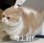 춼ܸϳֱ˶ൽߣḻֱ