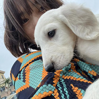 �����山�����߹�С��㣬Ѱ170�����º�������һ��