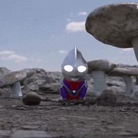 1211ֵ ݴʽůֱ20Ƭ7.9ƴͯά59