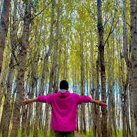 ��ϲ������Ȼ���˶�����ľ��ϲ������ë������Ȱ���������Ѱ���