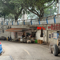 ��ȥ�����ֶص�����������õĺ�Ӵ���ŶӶ����˺ܾ�