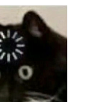 ��һ��ħ�õ�Ȧ�ڽ������׿��39��ļ����ع⣡