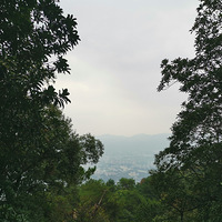 91��δ����ҳ�ö�����ϸ�������ϣ�