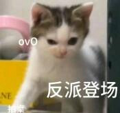 ۸ˣ·ůͣ˿ʼ͵͵ͯװ