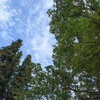 13.14���������˰ɡ�