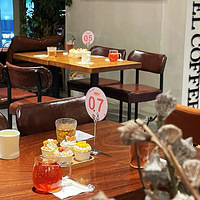 12������ר�����׻Ứ����¯��40λ�������ʵ�����Ů����