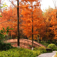 ����ǻ۹�԰�Ķ���