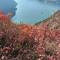 ��Ͽ������Ͽ֮��