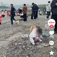 �����������빫԰�ڻ�ʯ���ȫ�����ܶ༸ǧ���˿�����ź��ڱ���