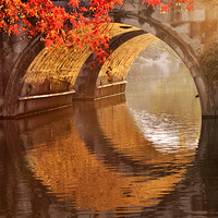 Ϊ���Ľ�⴩����ר�ŷ����˺���