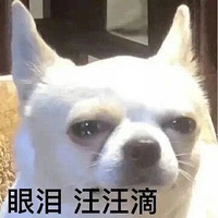 �����������ж������ӣ�����������һ����ʡʡ�û�����