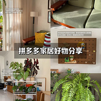 ƴϦϦƽ�ۼҾӺ���������ͳɱ������С��Ҳ����ů