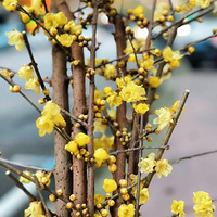 �����һ����÷���ˣ�Pong�㣡