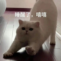 ��1218ֵ������������һ��������295��С�ܰ�Ħ��ԡ��103.9