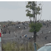 �÷��������һ�ѷ�������빫԰��ʯͷ�ˣ�������俼�Ŷ�