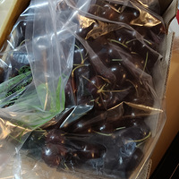 ����ĳ����ӿ�ʼ��