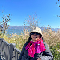 ����������