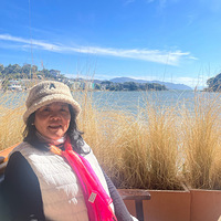 ����������