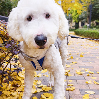 �½������ˣ��Ź�����