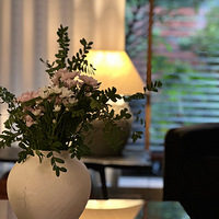 ����|һ�����ݵ���Ȼ��������죬��ɭ�ְ�����