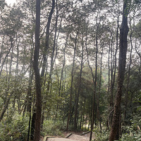 ��ɽ�����ܲ���