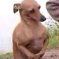 Ϊ�˳�Ƭ�����ѵ�а���Զ���������������˵������ѧ������