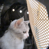 ˯���žͷ����