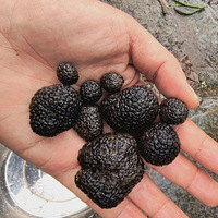 ������Ұ���컨��