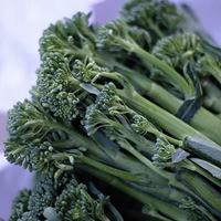 ������ڵ�����̦�úóԣ������ִ�