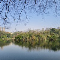 ����ů��