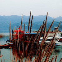 ľ���������·