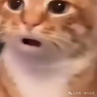 �˿��������ʲô�ز�����������������Щ������