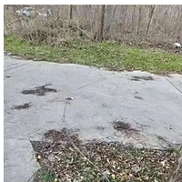 �����ﳵ����˿���������԰��˦����������Ů����Ӧ��������ը��