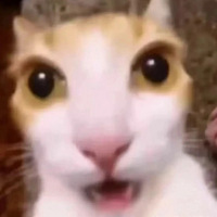 ְ��������Щ����֮����������ȫ�ǹ����˵�Ѫ���ѵ��